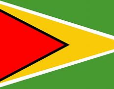 Guyana flag